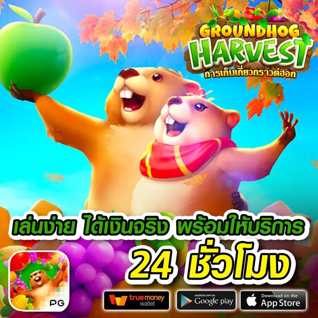 Member Slot คาสิโนครบวงจร รวมเกมสล็อตสุดฮิตมาแรง 2024