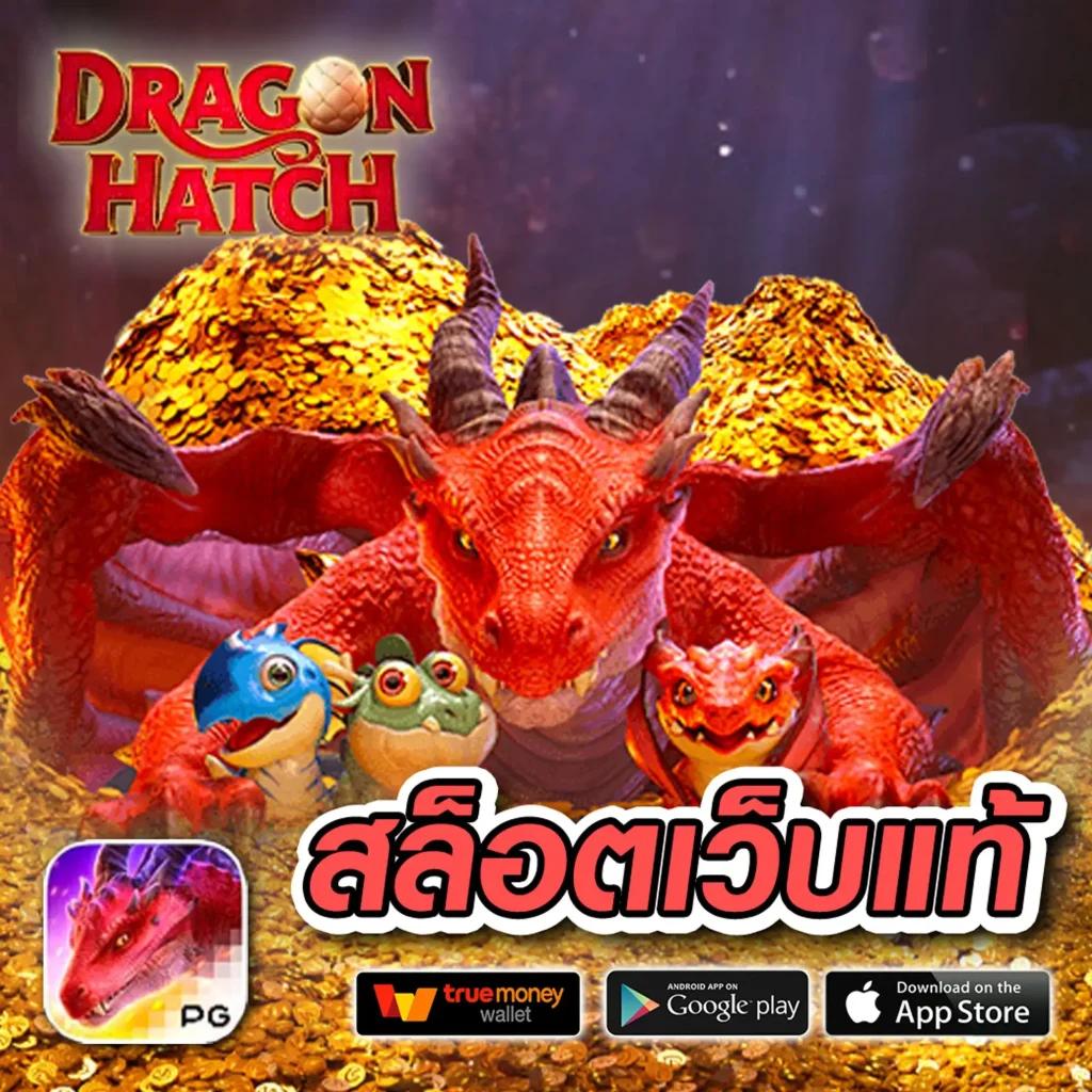 allslot8 คาสิโนครบวงจร แจกโบนัสแตกง่าย เติมเต็มทุกความสนุกในการเดิมพัน