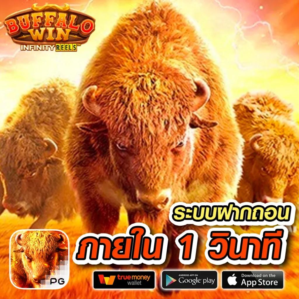 ufabet 369 เว็บตรง เล่นง่าย จ่ายจริง มั่นคงระดับแนวหน้า